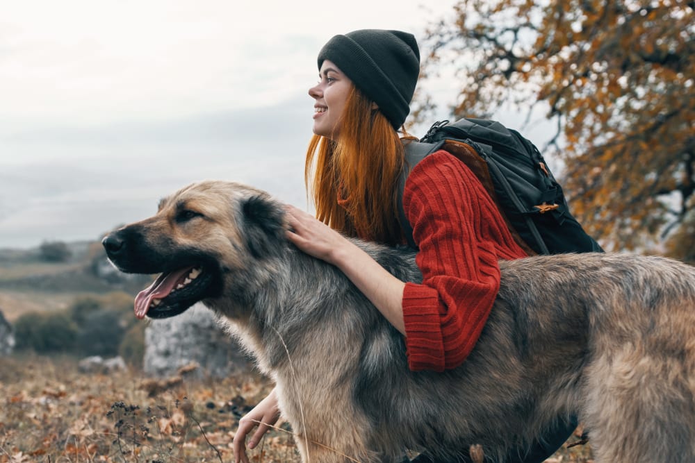 Animal Hospital in Novato